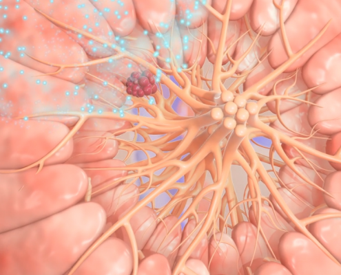 Medical animation